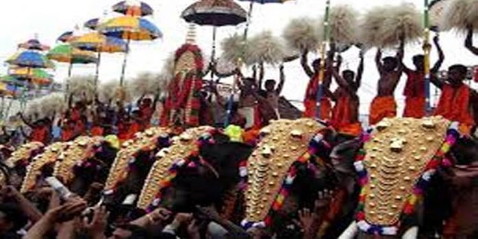 നാട്ടാന പരിപാലന ചട്ടപ്രകാരം ക്ഷേത്രങ്ങളില് ആനകളെ ഉപയോഗിക്കുന്നത് പുതിയ മാര്ഗ നിര്ദേശമിറക്കി നാട്ടാന പരിപാലന ചട്ടപ്രകാരം ക്ഷേത്രങ്ങളില് ആനകളെ ഉപയോഗിക്കുന്നത് പുതിയ മാര്ഗ നിര്ദേശമിറക്കി