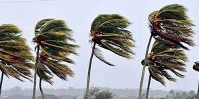 ആറ്റിങ്ങല് നഗരത്തിലും പരിസരപ്രദേശത്തും ശക്തമായ കാറ്റ് : വന് നാശനഷ്ടം ആറ്റിങ്ങല് നഗരത്തിലും പരിസരപ്രദേശത്തും ശക്തമായ കാറ്റ് : വന് നാശനഷ്ടം