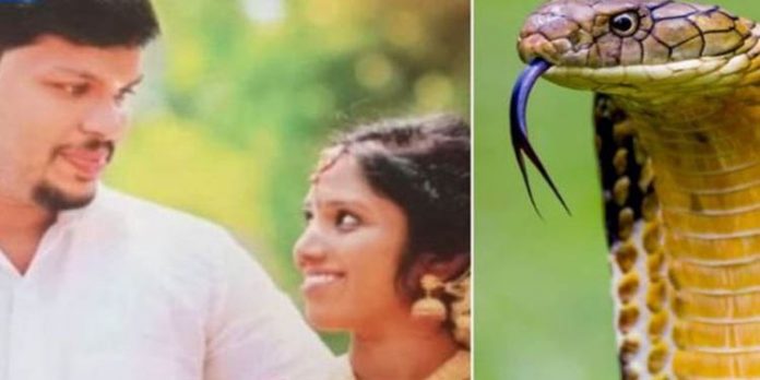 മന്ദബുദ്ധിയായതു കൊണ്ടാണ് ഉത്രയെ കൊന്നത് ; വെളിപ്പെടുത്തലുമായി സുരേഷ് കോടതിയില് മന്ദബുദ്ധിയായതു കൊണ്ടാണ് ഉത്രയെ കൊന്നത് ; വെളിപ്പെടുത്തലുമായി സുരേഷ് കോടതിയില്