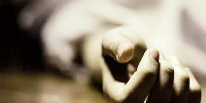 വൈദ്യുതി തകരാര് : മൂന്ന് രോഗികള് മരിക്കാനിടയായ സംഭവത്തില് അന്വേഷണത്തിന് ഉത്തരവിട്ടു വൈദ്യുതി തകരാര് : മൂന്ന് രോഗികള് മരിക്കാനിടയായ സംഭവത്തില് അന്വേഷണത്തിന് ഉത്തരവിട്ടു