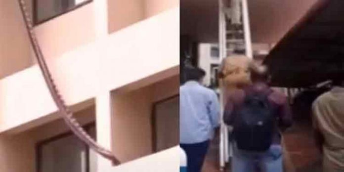 ഫ്ളാറ്റില് നിന്ന് വീട്ടുജോലിക്കാരി സാരിയില് തൂങ്ങി പുറത്തേക്ക് ചാടി , വീണ് ഗുരുതര പരിക്ക് ; ദുരൂഹത ഫ്ളാറ്റില് നിന്ന് വീട്ടുജോലിക്കാരി സാരിയില് തൂങ്ങി പുറത്തേക്ക് ചാടി , വീണ് ഗുരുതര പരിക്ക് ; ദുരൂഹത
