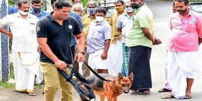 മല്ലപ്പള്ളിയില് മോഷണങ്ങള് വ്യാപകമാകുന്നു മല്ലപ്പള്ളിയില് മോഷണങ്ങള് വ്യാപകമാകുന്നു