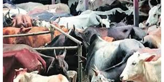 പക്ഷികള്ക്കു പിന്നാലെ കേരളത്തിലെ കന്നുകാലികളിലും മാരക രോഗം സ്ഥിരീകരിച്ചു പക്ഷികള്ക്കു പിന്നാലെ കേരളത്തിലെ കന്നുകാലികളിലും മാരക രോഗം സ്ഥിരീകരിച്ചു