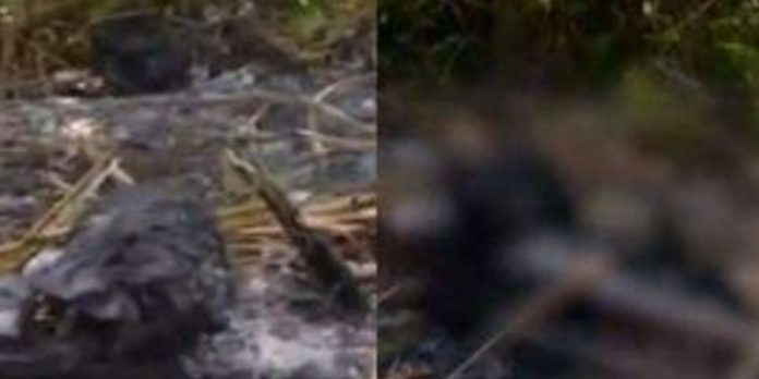 റെയില്വേ പാളത്തില് കത്തിക്കരിഞ്ഞ മൃതദേഹം; കൊലപാതകമെന്ന് പോലീസ് റെയില്വേ പാളത്തില് കത്തിക്കരിഞ്ഞ മൃതദേഹം; കൊലപാതകമെന്ന് പോലീസ്