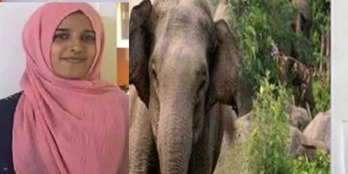 യുവതിയെ കാട്ടാന ചവിട്ടിക്കൊന്ന സംഭവത്തില് റിസോര്ട്ട് ഉടമകള് അറസ്റ്റില് യുവതിയെ കാട്ടാന ചവിട്ടിക്കൊന്ന സംഭവത്തില് റിസോര്ട്ട് ഉടമകള് അറസ്റ്റില്