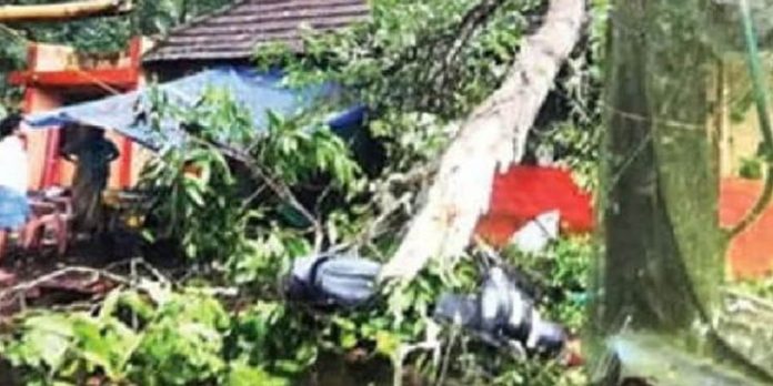കനത്ത മഴയില് വ്യാപക നാശം : വീടിന് മുകളില് മണ്ണിടിഞ്ഞ് വീണ് വീട്ടമ്മയ്ക്ക് പരിക്ക് കനത്ത മഴയില് വ്യാപക നാശം : വീടിന് മുകളില് മണ്ണിടിഞ്ഞ് വീണ് വീട്ടമ്മയ്ക്ക് പരിക്ക്