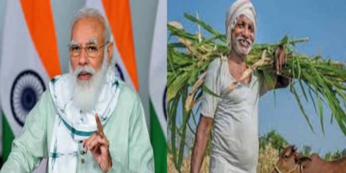 പി.എം.കിസാന് പദ്ധതിയിയുടെ പേരില് അനര്ഹര്ക്ക് നല്കിയത് 1364 കോടി ; 20.48 ലക്ഷം പേര് അനര്ഹരെന്ന് കേന്ദ്ര കൃഷിമന്ത്രാലയം പി.എം.കിസാന് പദ്ധതിയിയുടെ പേരില് അനര്ഹര്ക്ക് നല്കിയത് 1364 കോടി ; 20.48 ലക്ഷം പേര് അനര്ഹരെന്ന് കേന്ദ്ര കൃഷിമന്ത്രാലയം