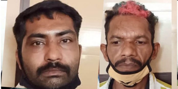 തമിഴ്നാട്ടില് നിന്നും കഞ്ചാവുമായി വന്ന രണ്ടു പേരെ കൊല്ലത്ത് എക്സൈസ് സംഘം പിടികൂടി തമിഴ്നാട്ടില് നിന്നും കഞ്ചാവുമായി വന്ന രണ്ടു പേരെ കൊല്ലത്ത് എക്സൈസ് സംഘം പിടികൂടി
