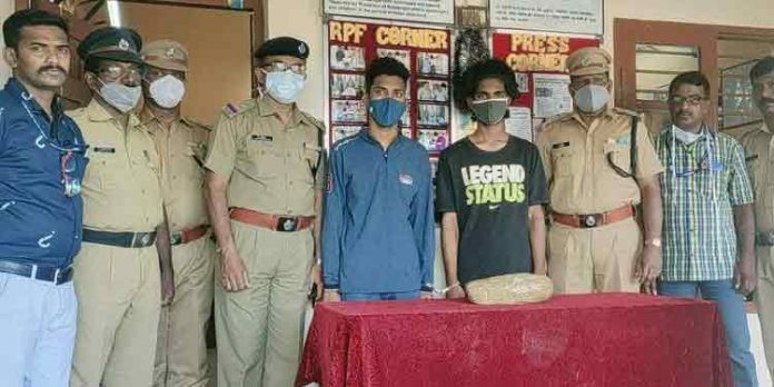 ഒലവക്കോട് റെയിൽവേ സ്റ്റേഷനിൽ കഞ്ചാവുമായി രണ്ടു യുവാക്കൾ പിടിയിൽ ഒലവക്കോട് റെയിൽവേ സ്റ്റേഷനിൽ കഞ്ചാവുമായി രണ്ടു യുവാക്കൾ പിടിയിൽ