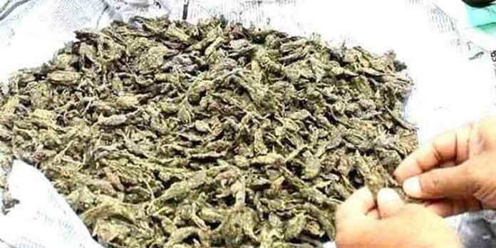 മലപ്പുറത്ത് അരകോടി രൂപ വിലമതിക്കുന്ന കഞ്ചാവ് പിടികൂടി മലപ്പുറത്ത് അരകോടി രൂപ വിലമതിക്കുന്ന കഞ്ചാവ് പിടികൂടി