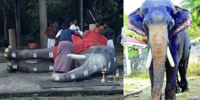 തലപ്പൊക്കത്തിന്റെ ചക്രവര്ത്തി മംഗലാംകുന്ന് കര്ണന് ചരിഞ്ഞു തലപ്പൊക്കത്തിന്റെ ചക്രവര്ത്തി മംഗലാംകുന്ന് കര്ണന് ചരിഞ്ഞു