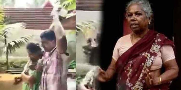 ആ ഭൂമി വസന്തയുടേതെന്ന് തഹസില്ദാറും ; കലക്ടര്ക്ക് റിപ്പോര്ട്ട് നല്കി ആ ഭൂമി വസന്തയുടേതെന്ന് തഹസില്ദാറും ; കലക്ടര്ക്ക് റിപ്പോര്ട്ട് നല്കി