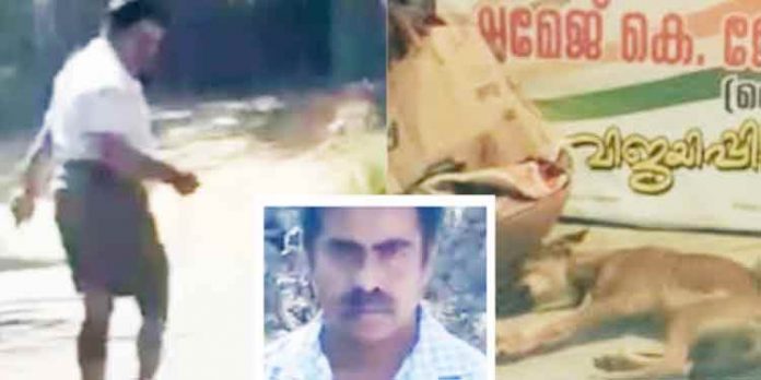 കഴുത്തില് കുരുക്കിട്ട് ടാറിട്ട റോഡിലൂടെ വലിച്ചു കൊണ്ടു പോയ തെരുവ് നായ ചത്തു ; പ്രതിക്കെതിരെ കൊലക്കേസ് കഴുത്തില് കുരുക്കിട്ട് ടാറിട്ട റോഡിലൂടെ വലിച്ചു കൊണ്ടു പോയ തെരുവ് നായ ചത്തു ; പ്രതിക്കെതിരെ കൊലക്കേസ്