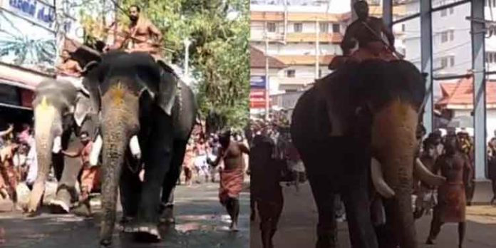 ഗുരുവായൂര് ആനയോട്ടത്തില് കൊമ്പന് ഗോപീകൃഷ്ണന് ജേതാവ് ഗുരുവായൂര് ആനയോട്ടത്തില് കൊമ്പന് ഗോപീകൃഷ്ണന് ജേതാവ്