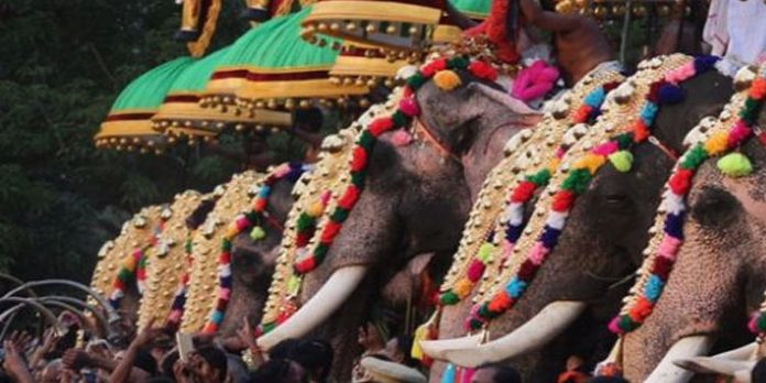 കോവിഡ് പ്രോട്ടോക്കോള് പാലിച്ച് തൃശ്ശൂര് പൂരം നടത്താന് തീരുമാനം കോവിഡ് പ്രോട്ടോക്കോള് പാലിച്ച് തൃശ്ശൂര് പൂരം നടത്താന് തീരുമാനം