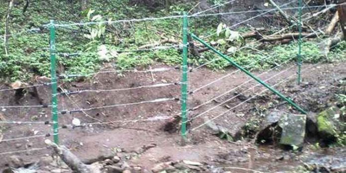 സൗരോർജ വേലിയുടെ അറ്റകുറ്റപ്പണികളില് വന് അഴിമതി ; സി.പി.ഐ മണ്ണീറ ഫോറസ്റ്റ് സ്റ്റേഷനിലേക്ക് മാർച്ചും ധർണ്ണയും നടത്തുന്നു സൗരോർജ വേലിയുടെ അറ്റകുറ്റപ്പണികളില് വന് അഴിമതി ; സി.പി.ഐ മണ്ണീറ ഫോറസ്റ്റ് സ്റ്റേഷനിലേക്ക് മാർച്ചും ധർണ്ണയും നടത്തുന്നു