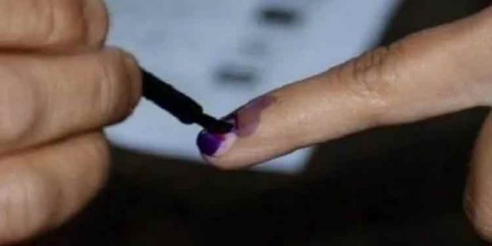 നിയമസഭാ തെരഞ്ഞെടുപ്പ് : നോഡല് ഓഫീസര്മാരേയും അസി.നോഡല് ഓഫീസര്മാരേയും നിയോഗിച്ചു നിയമസഭാ തെരഞ്ഞെടുപ്പ് : നോഡല് ഓഫീസര്മാരേയും അസി.നോഡല് ഓഫീസര്മാരേയും നിയോഗിച്ചു