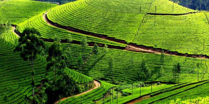 ഇടുക്കിക്ക് 12,000 കോടിയുടെ പാക്കേജ് പ്രഖ്യാപിച്ച് മുഖ്യമന്ത്രി ; തട്ടിപ്പെന്ന് പ്രതിപക്ഷം ഇടുക്കിക്ക് 12,000 കോടിയുടെ പാക്കേജ് പ്രഖ്യാപിച്ച് മുഖ്യമന്ത്രി ; തട്ടിപ്പെന്ന് പ്രതിപക്ഷം