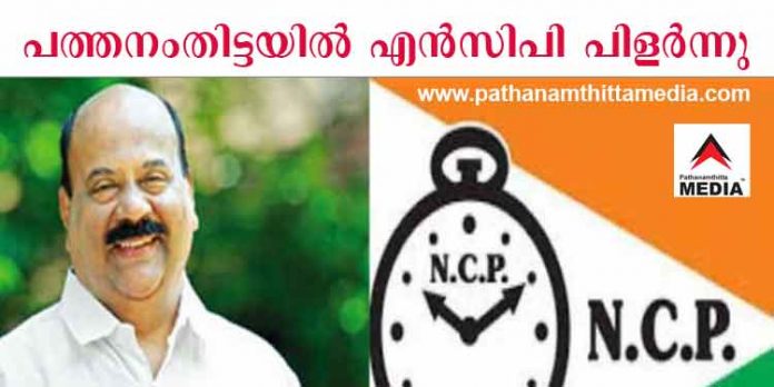 പത്തനംതിട്ടയിൽ എൻ.സി.പി പിളർന്നു ; മാണി സി കാപ്പന് പിന്തുണയുമായി ഒരുവിഭാഗം – നാളെ ഐശ്വര്യ കേരള യാത്രക്ക് സ്വീകരണം പത്തനംതിട്ടയിൽ എൻ.സി.പി പിളർന്നു ; മാണി സി കാപ്പന് പിന്തുണയുമായി ഒരുവിഭാഗം – നാളെ ഐശ്വര്യ കേരള യാത്രക്ക് സ്വീകരണം