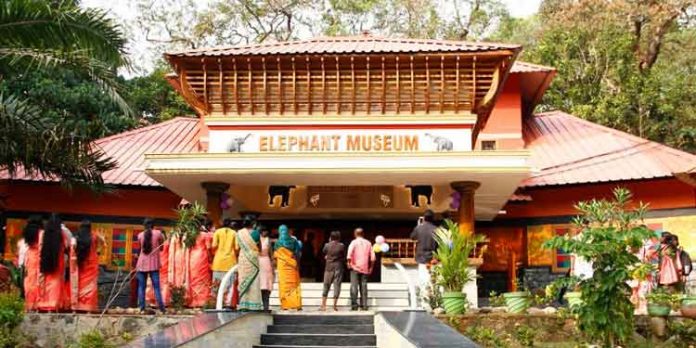 ആന മ്യൂസിയത്തിലൂടെ ഇന്ത്യയുടെ ടൂറിസം ഭൂപടത്തിൽ കോന്നി ഇടംപിടിച്ചു ; മന്ത്രി കെ രാജു ആന മ്യൂസിയത്തിലൂടെ ഇന്ത്യയുടെ ടൂറിസം ഭൂപടത്തിൽ കോന്നി ഇടംപിടിച്ചു ; മന്ത്രി കെ രാജു