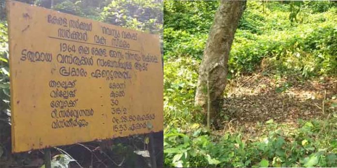 സർക്കാർ ഭൂമിയെന്ന് തെറ്റിദ്ധരിച്ച് കാട് തെളിച്ചു കുടിലുകെട്ടി , കഞ്ഞിയും വെച്ചു ; കൂടൽ പുന്നമൂട്ടിൽ നടന്ന കയ്യേറ്റം സർക്കാർ ഭൂമിയെന്ന് തെറ്റിദ്ധരിച്ച് കാട് തെളിച്ചു കുടിലുകെട്ടി , കഞ്ഞിയും വെച്ചു ; കൂടൽ പുന്നമൂട്ടിൽ നടന്ന കയ്യേറ്റം