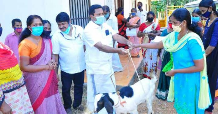 ഏനാദിമംഗലം ഗ്രാമ പഞ്ചായത്തിൽ മൃഗ സംരക്ഷണ പദ്ധതികൾ ഉത്ഘാടനം ചെയ്തു ഏനാദിമംഗലം ഗ്രാമ പഞ്ചായത്തിൽ മൃഗ സംരക്ഷണ പദ്ധതികൾ ഉത്ഘാടനം ചെയ്തു