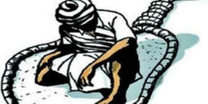 നെല്ല് സംഭരണത്തിന് അമിത കമ്മീഷൻ : കൃഷി ഭവനു മുന്നിൽ കർഷകന്റെ ആത്മഹത്യാ ശ്രമം നെല്ല് സംഭരണത്തിന് അമിത കമ്മീഷൻ : കൃഷി ഭവനു മുന്നിൽ കർഷകന്റെ ആത്മഹത്യാ ശ്രമം