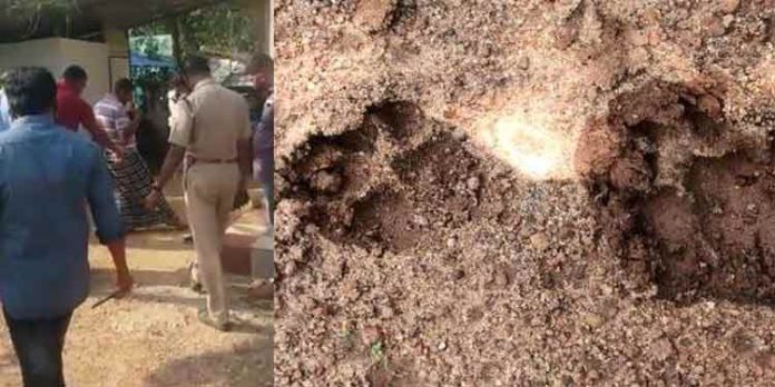 പുലിയുടേതിന് സമാനമായ കാല്പാടുകള് കണ്ടെത്തിയതോടെ നാവായിക്കുളത്തെ ജനങ്ങള് വീണ്ടും ഭയപ്പാടില് പുലിയുടേതിന് സമാനമായ കാല്പാടുകള് കണ്ടെത്തിയതോടെ നാവായിക്കുളത്തെ ജനങ്ങള് വീണ്ടും ഭയപ്പാടില്