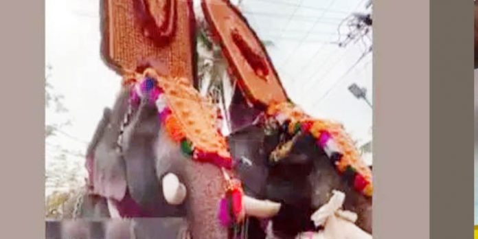 ആനകളുടെ തലപ്പൊക്കമത്സരം ; പാപ്പാന്മാര്ക്കെതിരെ വനംവകുപ്പ് കേസെടുത്തു ആനകളുടെ തലപ്പൊക്കമത്സരം ; പാപ്പാന്മാര്ക്കെതിരെ വനംവകുപ്പ് കേസെടുത്തു