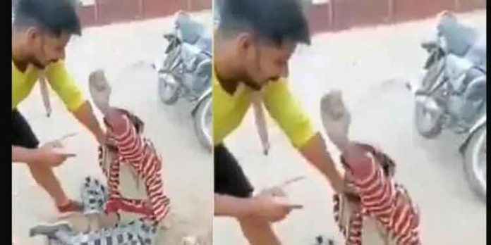 പാക് വിരുദ്ധ മുദ്രാവാക്യം വിളിക്കണമെന്നാവശ്യപ്പെട്ട് ഡല്ഹിയില് യുവാവിന് ക്രൂരമര്ദനം പാക് വിരുദ്ധ മുദ്രാവാക്യം വിളിക്കണമെന്നാവശ്യപ്പെട്ട് ഡല്ഹിയില് യുവാവിന് ക്രൂരമര്ദനം