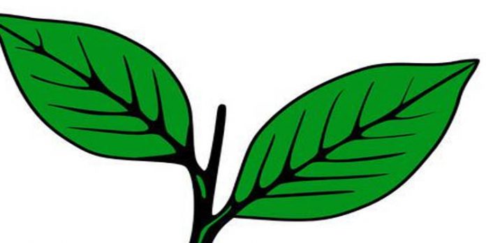 കേരള കോണ്ഗ്രസ് എം നിയോജക മണ്ഡലം ഭാരവാഹികള് ഉള്പ്പെടെ പാര്ട്ടിയില് നിന്ന് രാജിവെച്ചു കേരള കോണ്ഗ്രസ് എം നിയോജക മണ്ഡലം ഭാരവാഹികള് ഉള്പ്പെടെ പാര്ട്ടിയില് നിന്ന് രാജിവെച്ചു