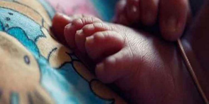 അട്ടപ്പാടിയില് വീണ്ടും ശിശുമരണം അട്ടപ്പാടിയില് വീണ്ടും ശിശുമരണം