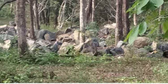 നിയമങ്ങള് കാറ്റില് പറത്തി ഗ്രൗണ്ട് നിര്മ്മാണത്തിന്റെ മറവില് പാറ പൊട്ടിച്ച് കടത്തുന്നു നിയമങ്ങള് കാറ്റില് പറത്തി ഗ്രൗണ്ട് നിര്മ്മാണത്തിന്റെ മറവില് പാറ പൊട്ടിച്ച് കടത്തുന്നു