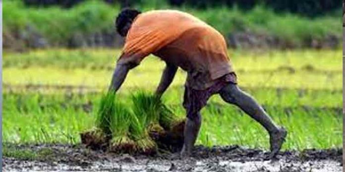 കാര്ഷികമേഖലയിലെ പ്രശ്നങ്ങളോട് സ്വീകരിക്കുന്ന നിലപാടുകളെ വിലയിരുത്തി മാത്രമേ കര്ഷകര് വോട്ട് ചെയ്യുകയുള്ളൂ : മാര് റമീജിയോസ്ഇഞ്ചനാനിയില് കാര്ഷികമേഖലയിലെ പ്രശ്നങ്ങളോട് സ്വീകരിക്കുന്ന നിലപാടുകളെ വിലയിരുത്തി മാത്രമേ കര്ഷകര് വോട്ട് ചെയ്യുകയുള്ളൂ : മാര് റമീജിയോസ്ഇഞ്ചനാനിയില്