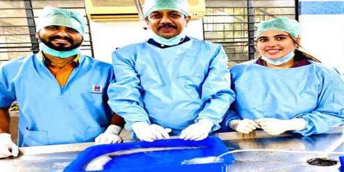 മൃഗശാലയിലെ മത്സ്യത്തെ രക്ഷിക്കാന് തിരുവനന്തപുരത്ത് അപൂര്വ്വ ശസ്ത്രക്രിയ മൃഗശാലയിലെ മത്സ്യത്തെ രക്ഷിക്കാന് തിരുവനന്തപുരത്ത് അപൂര്വ്വ ശസ്ത്രക്രിയ