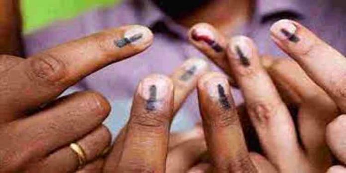 നിയമസഭ തെരഞ്ഞെടുപ്പ് : വെബ്കാസ്റ്റിംഗ് നോഡല് ഓഫീസറെ നിയമിച്ചു നിയമസഭ തെരഞ്ഞെടുപ്പ് : വെബ്കാസ്റ്റിംഗ് നോഡല് ഓഫീസറെ നിയമിച്ചു