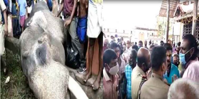 അമ്പലപ്പുഴ വിജയകൃഷ്ണന് ചരിഞ്ഞത് ചികിത്സയിലെ പോയരായ്മയെന്ന് ആരോപണം ; സ്ഥലത്ത് സംഘര്ഷാവസ്ഥ അമ്പലപ്പുഴ വിജയകൃഷ്ണന് ചരിഞ്ഞത് ചികിത്സയിലെ പോയരായ്മയെന്ന് ആരോപണം ; സ്ഥലത്ത് സംഘര്ഷാവസ്ഥ