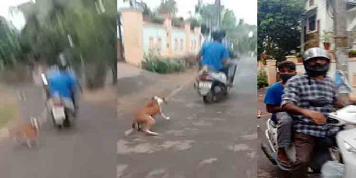 നായയെ മൂന്ന് കിലോമീറ്ററോളം സ്കൂട്ടറിന്റെ പിന്നില് കെട്ടിവലിച്ചു ; ഉടമയുടെ കൊടുംക്രൂരത നായയെ മൂന്ന് കിലോമീറ്ററോളം സ്കൂട്ടറിന്റെ പിന്നില് കെട്ടിവലിച്ചു ; ഉടമയുടെ കൊടുംക്രൂരത