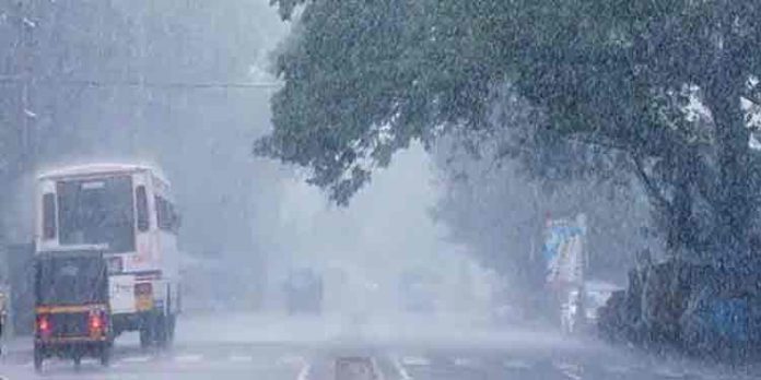ജൂണ് മുതല് സെപ്റ്റംബര് വരെ കനത്ത മഴ ; പ്രളയം ഉണ്ടാകാം ജൂണ് മുതല് സെപ്റ്റംബര് വരെ കനത്ത മഴ ; പ്രളയം ഉണ്ടാകാം