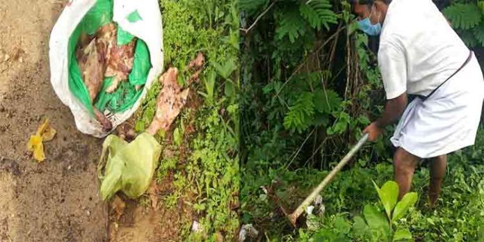 കുമ്പഴ മലയാലപ്പുഴ റോഡിൽ മാലിന്യ നിക്ഷേപം പതിവാകുന്നു കുമ്പഴ മലയാലപ്പുഴ റോഡിൽ മാലിന്യ നിക്ഷേപം പതിവാകുന്നു