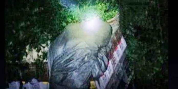 നാടുകാണിയില് ചരക്കു ലോറി 40 അടി താഴ്ചയിലേക്ക് മറിഞ്ഞു ; ഡ്രൈവറെ കാണാനില്ല നാടുകാണിയില് ചരക്കു ലോറി 40 അടി താഴ്ചയിലേക്ക് മറിഞ്ഞു ; ഡ്രൈവറെ കാണാനില്ല