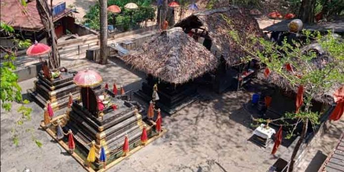 വിഷുക്കാഴ്ച ഒരുക്കി പത്താമുദയ മഹോത്സവത്തിന് കല്ലേലി കാവ് ഒരുങ്ങി വിഷുക്കാഴ്ച ഒരുക്കി പത്താമുദയ മഹോത്സവത്തിന് കല്ലേലി കാവ് ഒരുങ്ങി