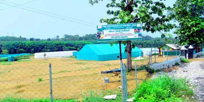 കുറഞ്ഞ വിലക്ക് ഗുണനിലവാരമുള്ള തൈകള് കലഞ്ഞൂരിലെ സര്ക്കാര് ഹൈടെക്ക് നഴ്സറിയില് കുറഞ്ഞ വിലക്ക് ഗുണനിലവാരമുള്ള തൈകള് കലഞ്ഞൂരിലെ സര്ക്കാര് ഹൈടെക്ക് നഴ്സറിയില്
