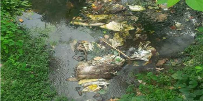 നോക്കുകുത്തിയായി റാന്നി പഴവങ്ങാടി പഞ്ചായത്ത് ; മാലിന്യപ്പുഴയായി വലിയതോട് നോക്കുകുത്തിയായി റാന്നി പഴവങ്ങാടി പഞ്ചായത്ത് ; മാലിന്യപ്പുഴയായി വലിയതോട്