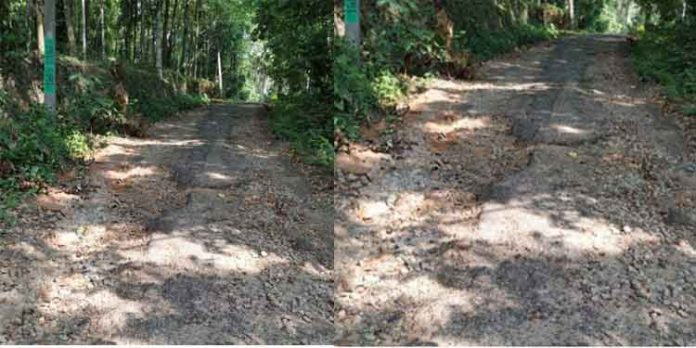 പഴവങ്ങാടി പഞ്ചായത്ത് പ്രസിഡന്റ് ഈ റോഡില് ഒന്നുവരുമോ ? ഒരു നാടിന്റെ ദുരിതം നേരിട്ടുകാണാം… പഴവങ്ങാടി പഞ്ചായത്ത് പ്രസിഡന്റ് ഈ റോഡില് ഒന്നുവരുമോ ? ഒരു നാടിന്റെ ദുരിതം നേരിട്ടുകാണാം…