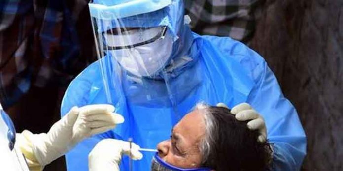 കോവിഡ് പരിശോധനാ കാമ്പയിന് : രണ്ടാം ദിവസം 8179 പേരെ പരിശോധിച്ചു കോവിഡ് പരിശോധനാ കാമ്പയിന് : രണ്ടാം ദിവസം 8179 പേരെ പരിശോധിച്ചു