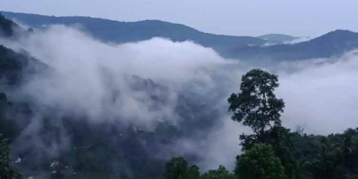 കോടമഞ്ഞ് പുതച്ച് പൂച്ചക്കുളം കോടമഞ്ഞ് പുതച്ച് പൂച്ചക്കുളം
