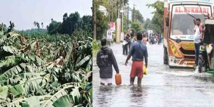 വെള്ളപ്പൊക്കത്തെ തുടര്ന്ന് അപ്പര് കുട്ടനാടന് മേഖലയില് വന് കൃഷിനാശം ; കണ്ണുനീരും കയ്യുമായി കര്ഷകര് വെള്ളപ്പൊക്കത്തെ തുടര്ന്ന് അപ്പര് കുട്ടനാടന് മേഖലയില് വന് കൃഷിനാശം ; കണ്ണുനീരും കയ്യുമായി കര്ഷകര്