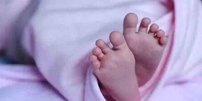 അപൂര്വങ്ങളില് അപൂര്വം … മാലിയില് യുവതിക്ക് ഒറ്റപ്രസവത്തില് ഒന്പതു കുഞ്ഞുങ്ങള് അപൂര്വങ്ങളില് അപൂര്വം … മാലിയില് യുവതിക്ക് ഒറ്റപ്രസവത്തില് ഒന്പതു കുഞ്ഞുങ്ങള്