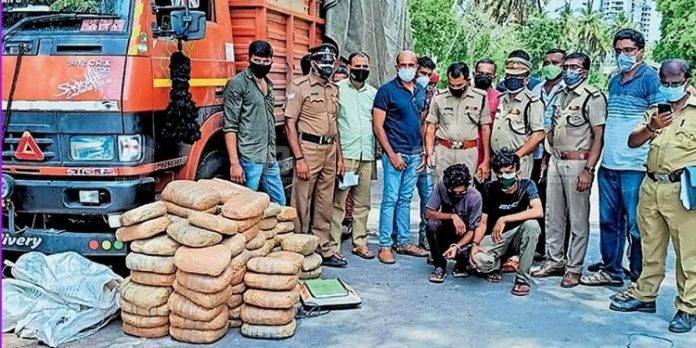 ചരക്ക് ലോറിയിൽ നിന്നും 250 കിലോ കഞ്ചാവ് പിടികൂടി ചരക്ക് ലോറിയിൽ നിന്നും 250 കിലോ കഞ്ചാവ് പിടികൂടി